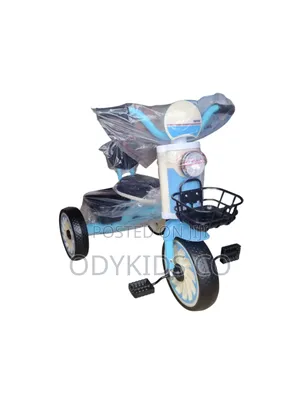 Perfect Children Tricycle Fir 2 to 4 Years for Boy and Girl