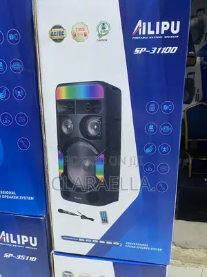 Ailipu Sp-31100 Portable Battery Speaker.