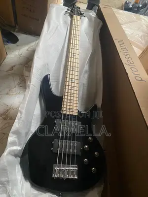 Ibanez Five Strings Electric Bass Guitar