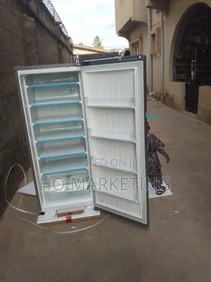 Lg Family Sized Upright Inverter Freezer