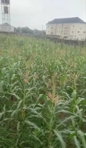 Dape Plot No 860
Size 2,769sqm 
Residential
C of O