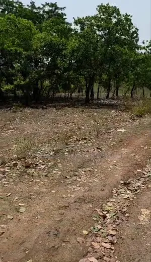 Commercial Land for Sale :Plot: 812 Title: Cofo* Size: 1,989.43sqm