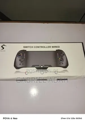 Fancy Enhanced Nintendo Switch Controller