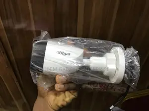 Dahua Smart Dual Light