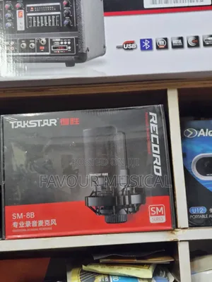 Takstar Sm-8b Professional Recording Microphone