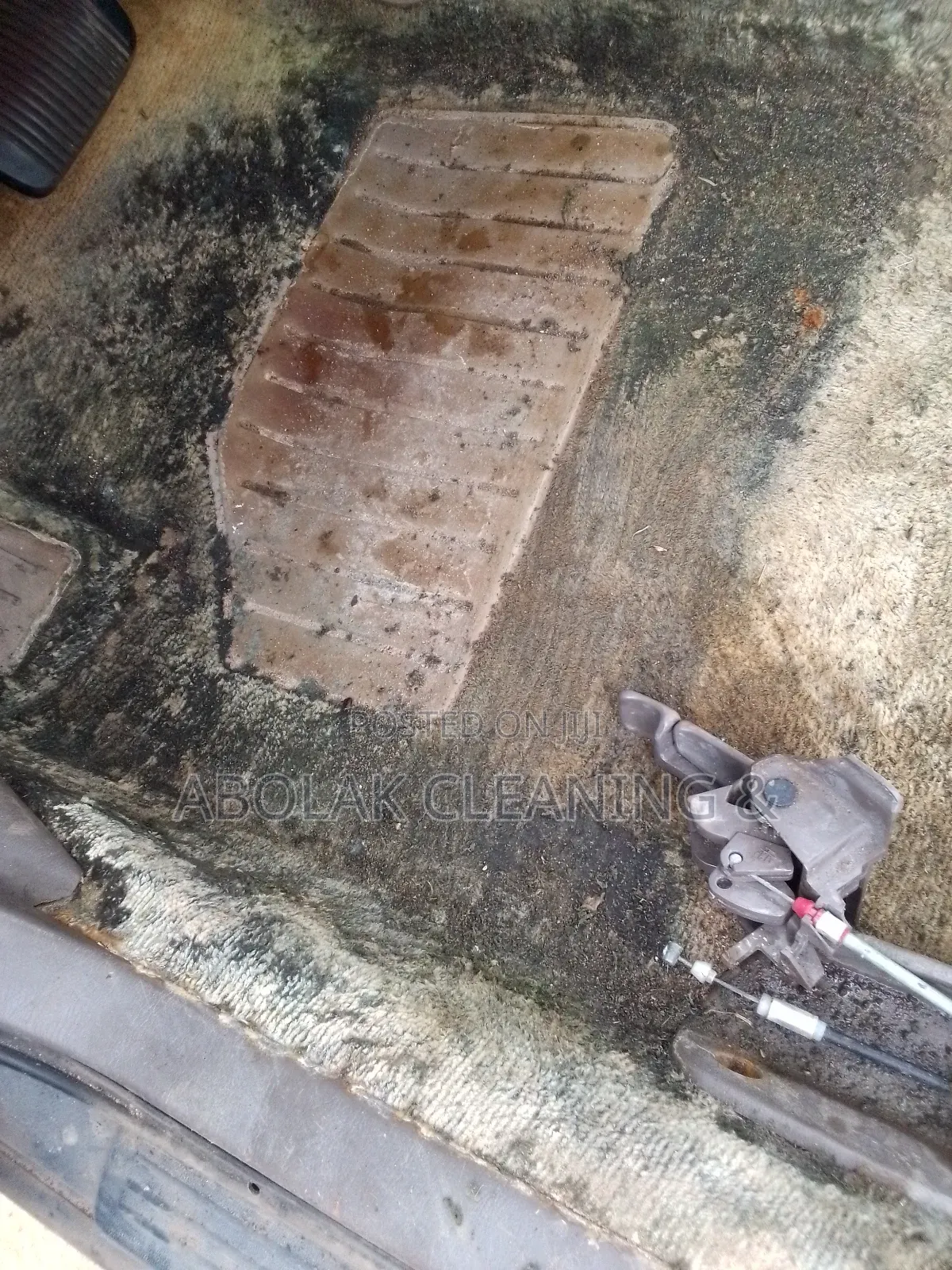 Cleaning and Fumigation Services
