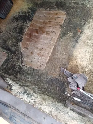 Cleaning and Fumigation Services
