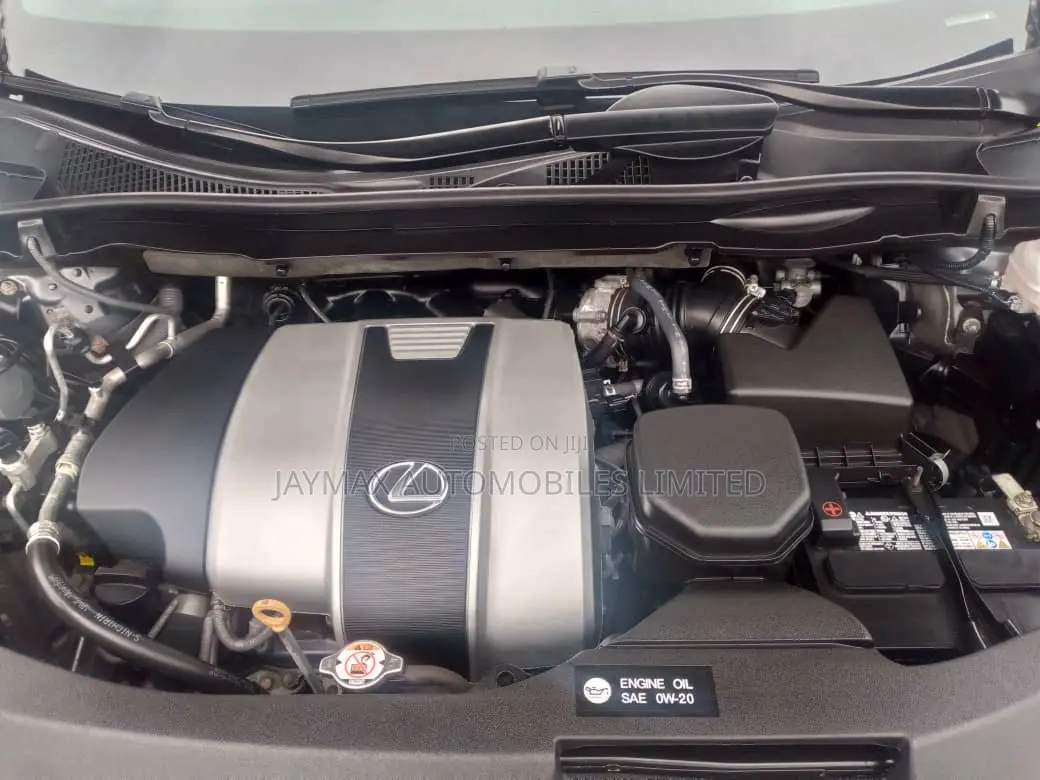 Lexus RX 2022 Gray