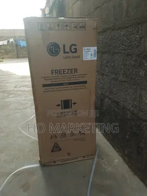 Energy Saving Lg Upright 168l Inverter Freezer