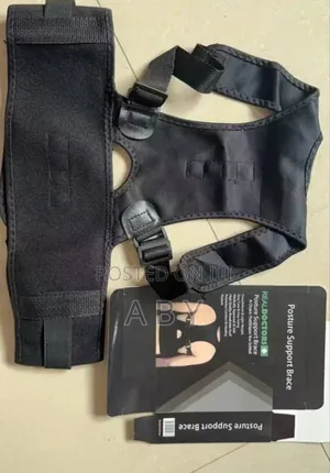 Posture Support Brace