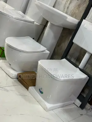 Wall Hung Wc