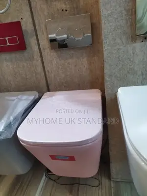 Pink Wall Hung Water Closets