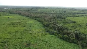 50 Plots Alarming Distress Offer