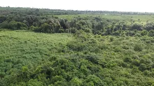 50 Plots Alarming Distress Offer