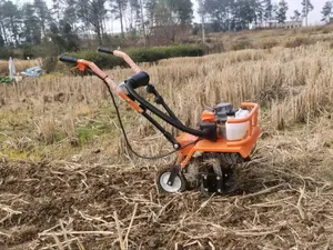 Combine Tiller And Weeder Machine