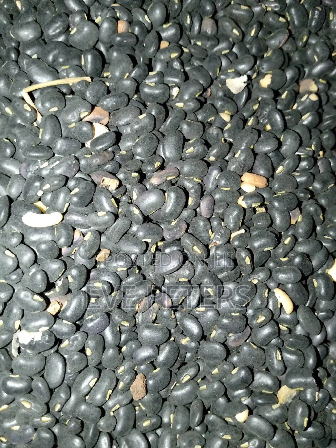 Akidi Black Beans