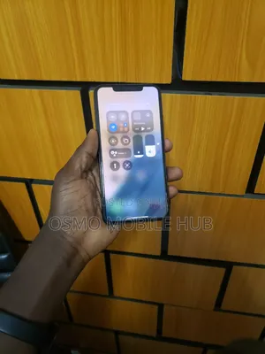 Apple iPhone 11 Pro Max 256 GB Gray
