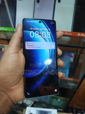 Vivo X100 Pro 256 GB Blue