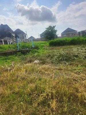 Plot of Land in Angel Martins Estate Pyakasa