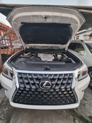 Lexus GX 460 Luxury 2019 White