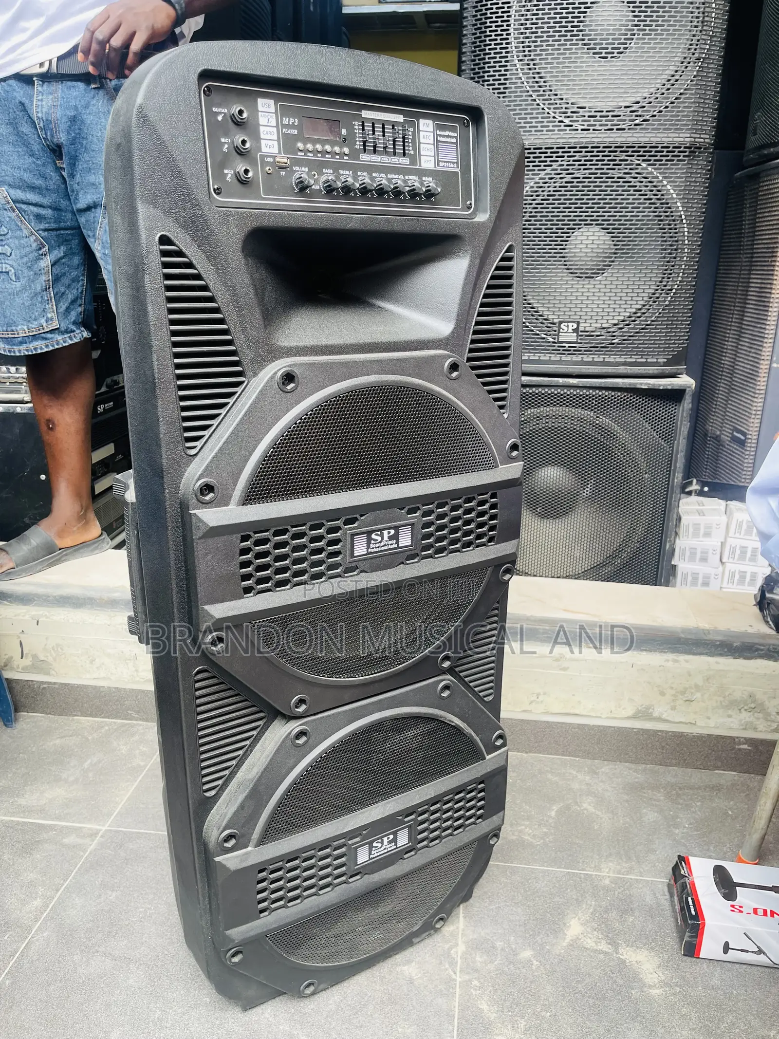 Sound Prince Double Pa System
