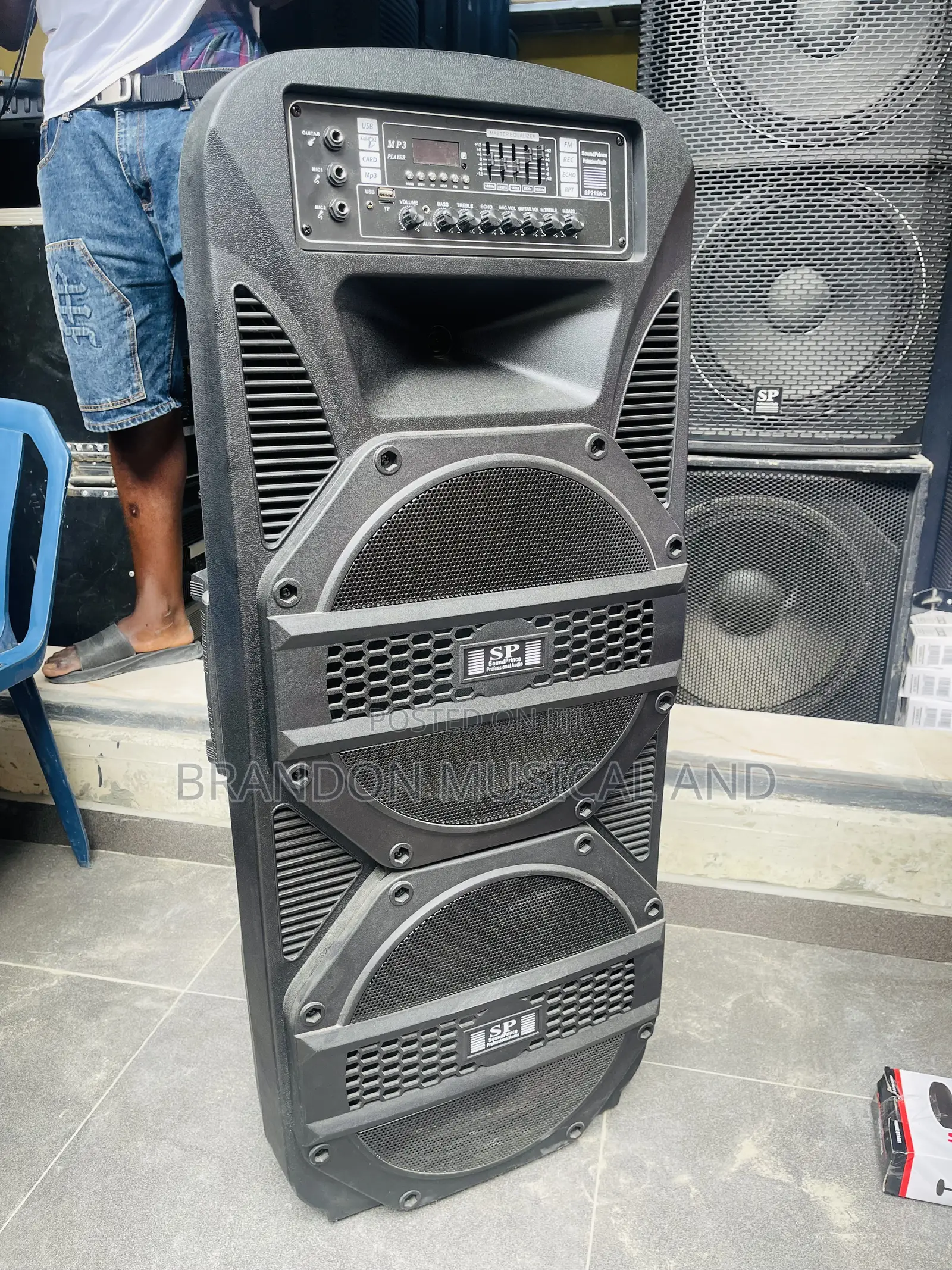 Sound Prince Double Pa System