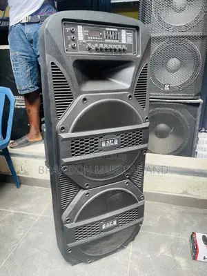 Sound Prince Double Pa System