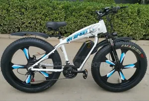 Electric Bike for Mountain Biking