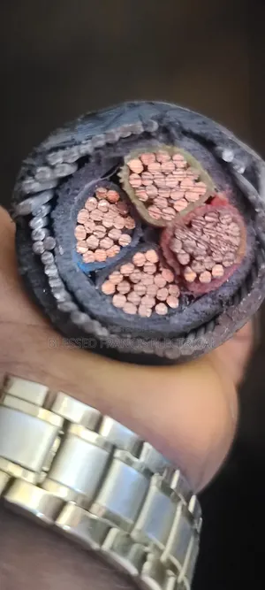95mmx4 Coleman Wire and Cable Nigeria Amored