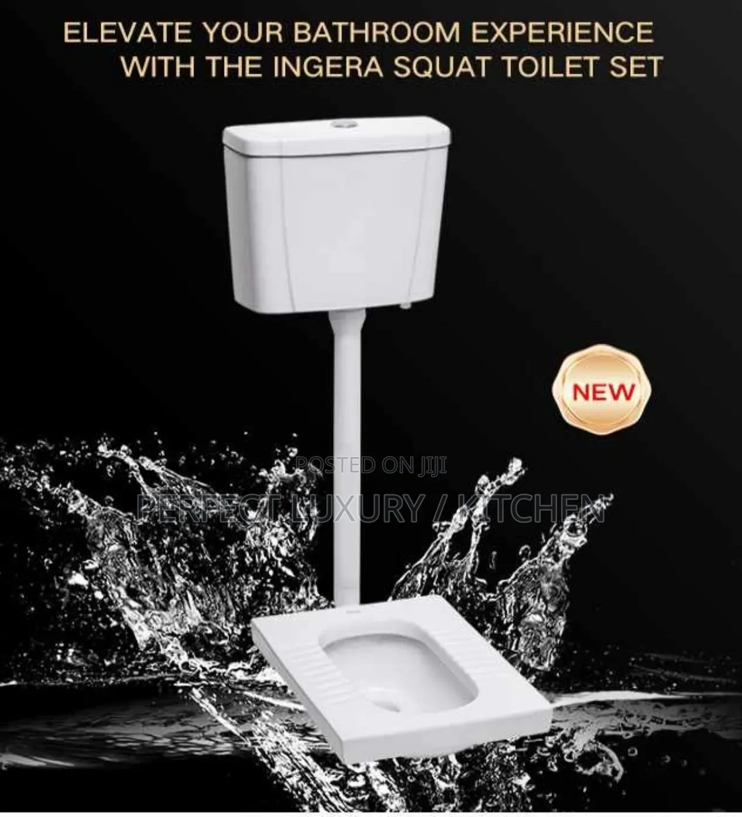 Squatting Pan With Flusher Tank