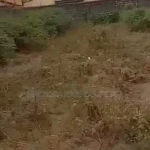 Over 20 Acres of Land Available at Amje
