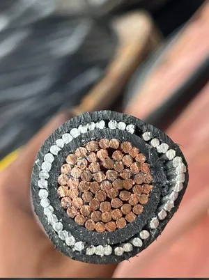 500mm 1xcore Armored Cable