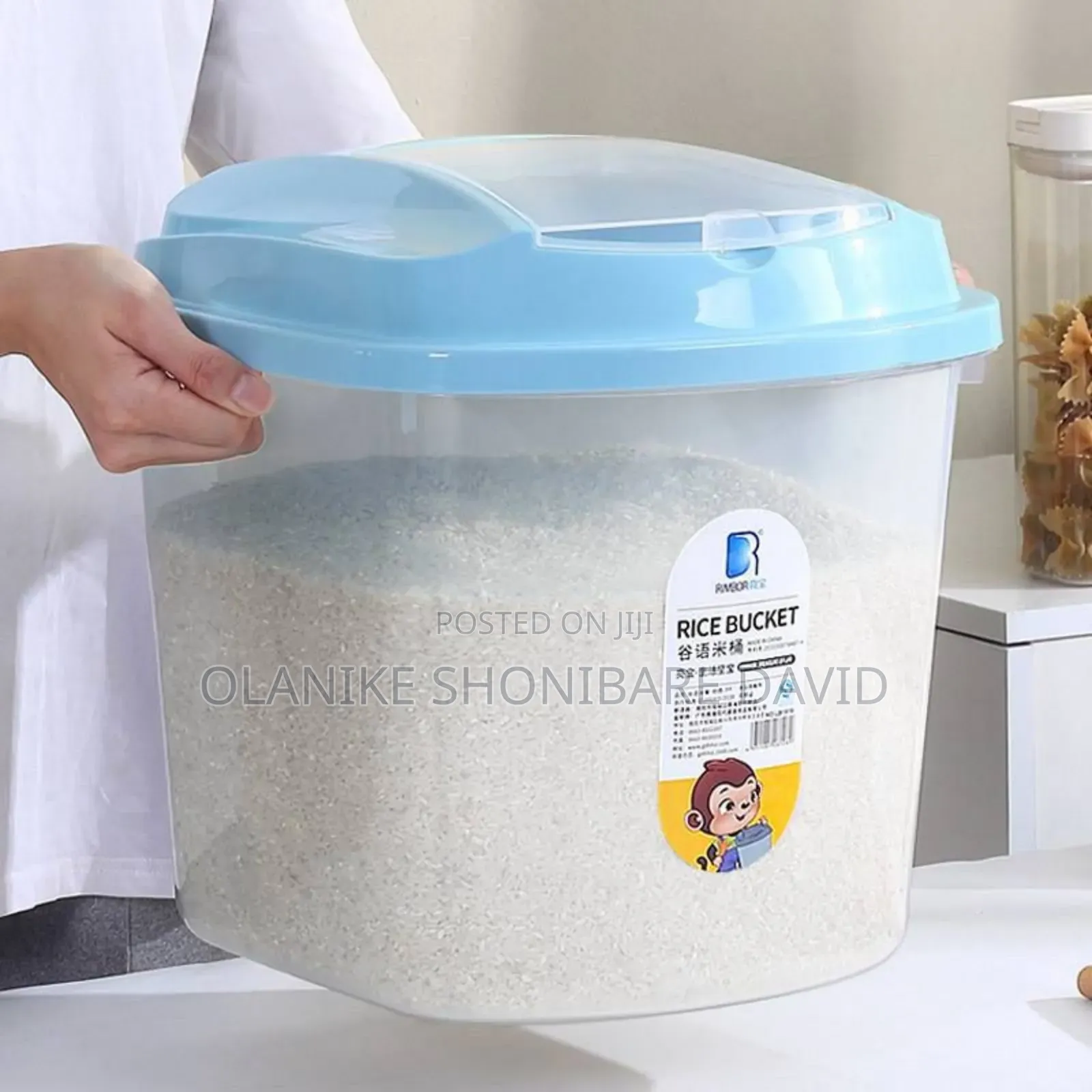Rice Container