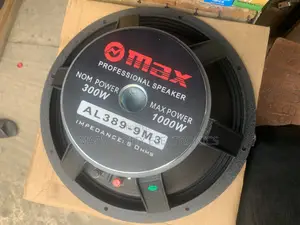 15” Omax Naked Speaker