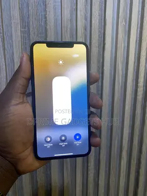 Apple iPhone 11 Pro Max 256 GB Gray