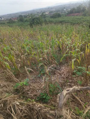 A Plot of Land at Powerline