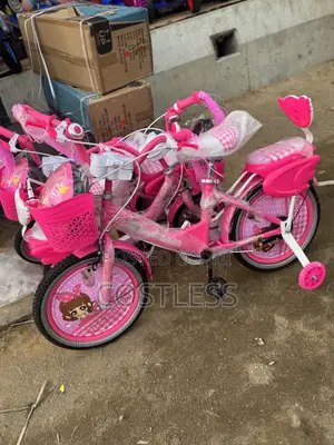 16’ Princess Bicycle With Helmet
