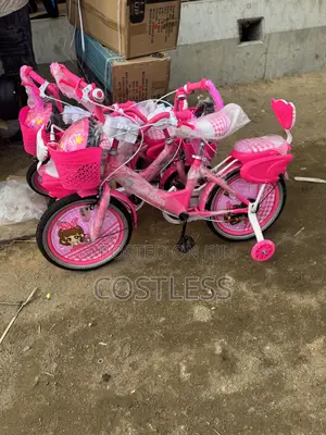 16’ Princess Bicycle With Helmet