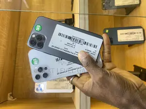 Apple iPhone 12 Pro 256 GB Gray