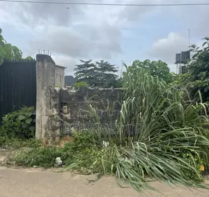 47ft by 120ft Land for Sale at Back of Macdons Asaba