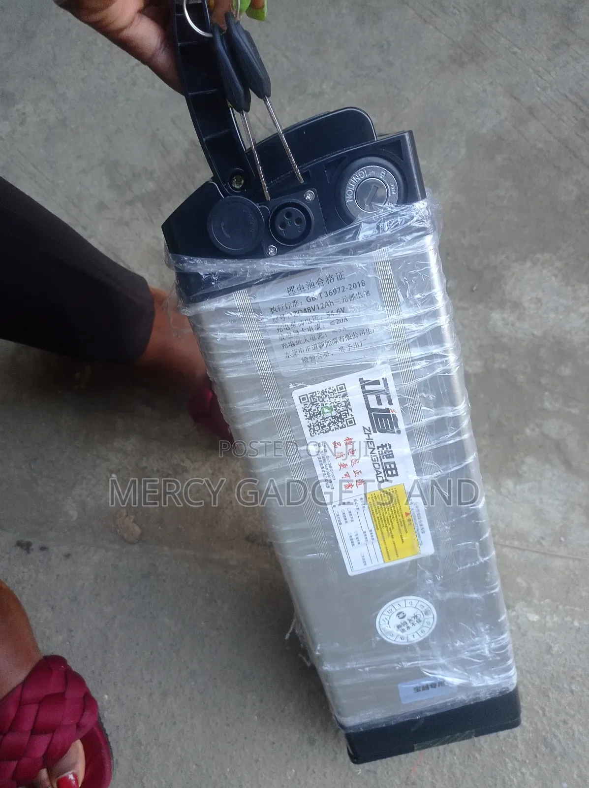 Electronic Bicycle Battery