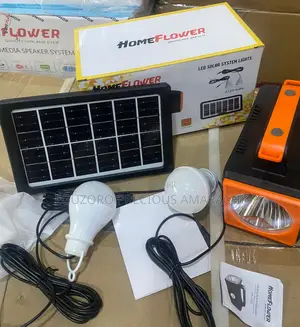 Homeflower Portable Solar Lighting Kit With 2 Bulbs