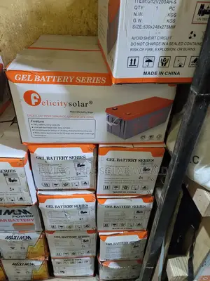 200ah Dry Cell Felicity Battery