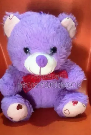 Teddy Bear Dogs