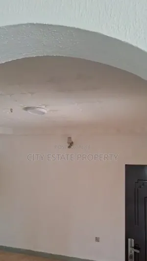 7bdrm Duplex in Asokoro for rent