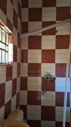 7bdrm Duplex in Asokoro for rent
