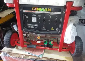 Firman 12990e2 10kva Coper Coil