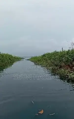 Hectare Of Land