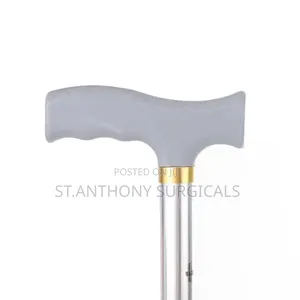 Walking Stick