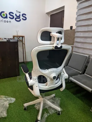 Ergonomic Chair With Lumbar Support